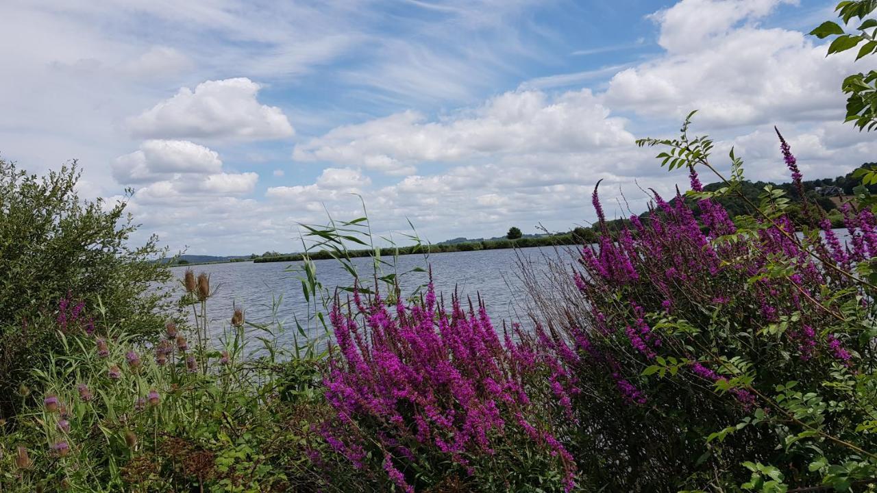 Belle Visnonia Meuble De Caractere Sud Morbihan Beganne Bagian luar foto