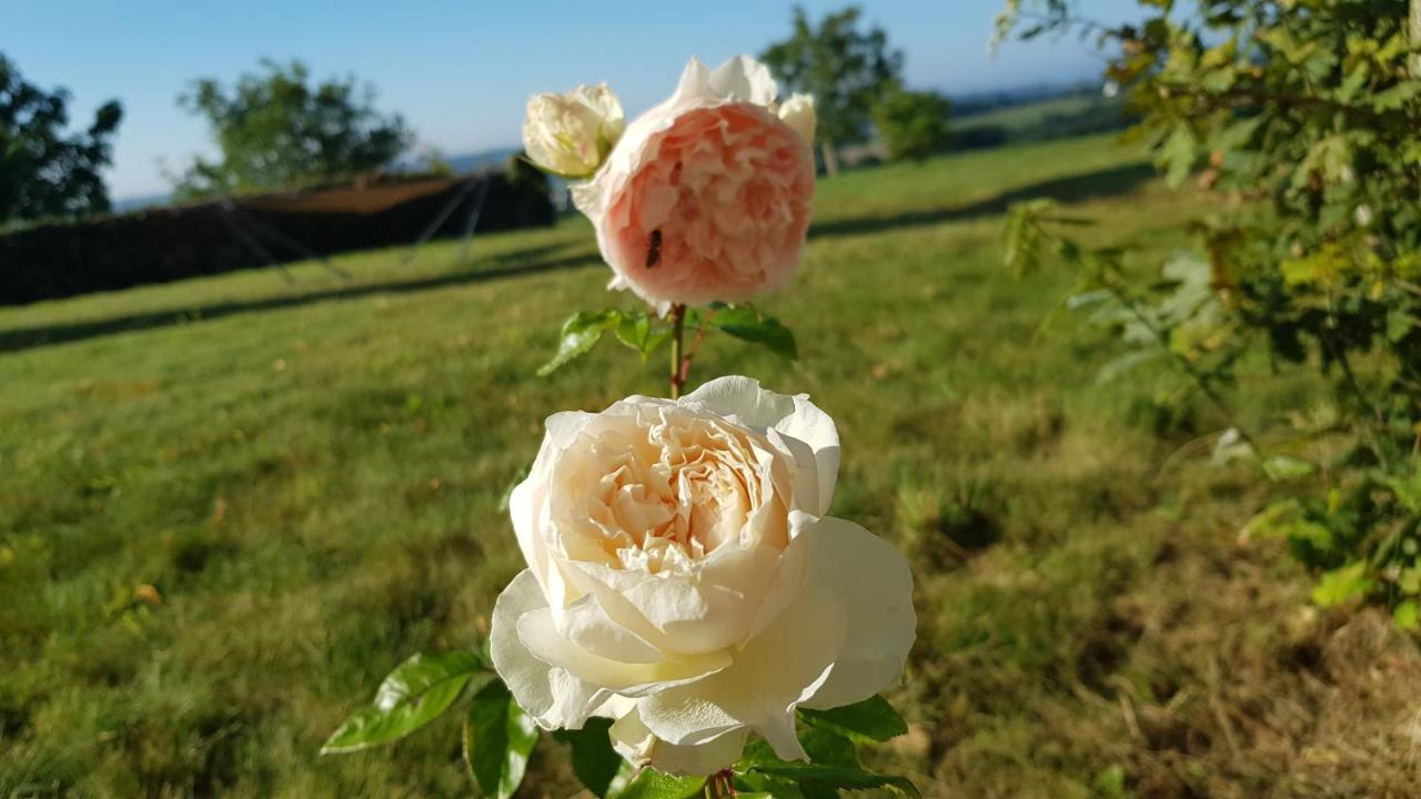 Belle Visnonia Meuble De Caractere Sud Morbihan Beganne Bagian luar foto